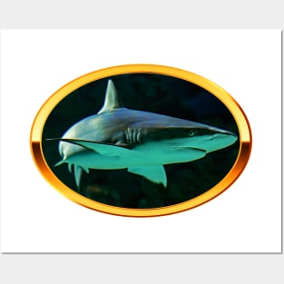 Gold Ring Shark Posters and Art